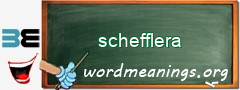 WordMeaning blackboard for schefflera